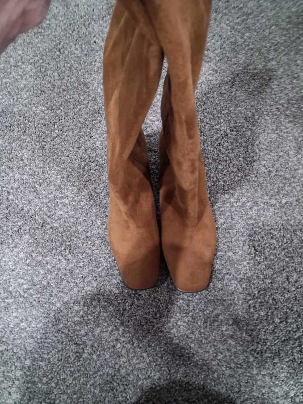 Nordstrom Rack Newbury Knee-High Boots – Brown Suede – Size 10 (BNWT)